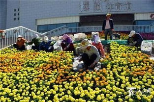 市政園林工程施工技術難點及其應對措施 深圳市政園林綠化技巧培訓