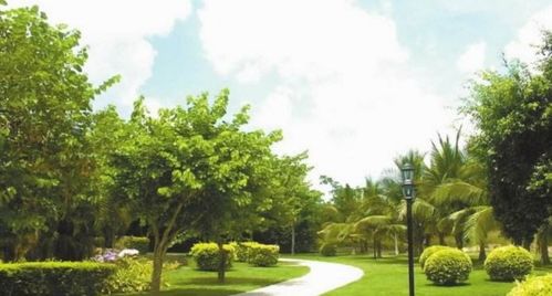 建設(shè)規(guī)劃中,工業(yè)用地的綠地率一般規(guī)定為多少