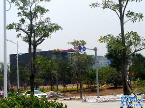 中南濱江銘悅 營銷中心已初步建成 工地火熱施工