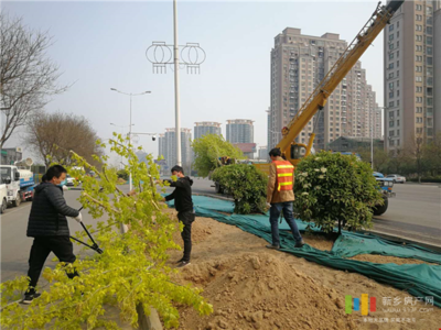 新鄉(xiāng)投資5845萬元 對市區(qū)道路進行綠化改造