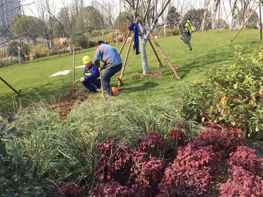邊坡綠化工程 專業(yè)施工，筑造綠色家園的生態(tài)屏障
